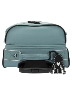 AVIANA S Trolley bagaglio a mano