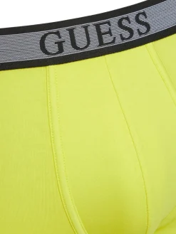 JOE 3 Boxer multicor