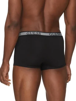 JOE 3 Boxer multicor