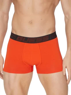 JOE 3 Boxer multicor