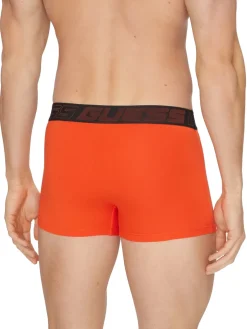 JOE 3 Boxer multicor