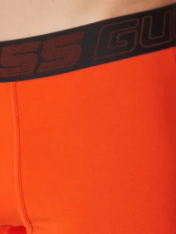 JOE 3 Boxer multicor