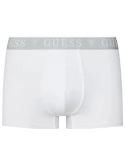 LOGO CLASSIC 5 Boxer multicolor