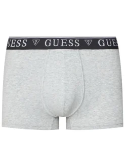 LOGO CLASSIC 5 Boxer multicolor