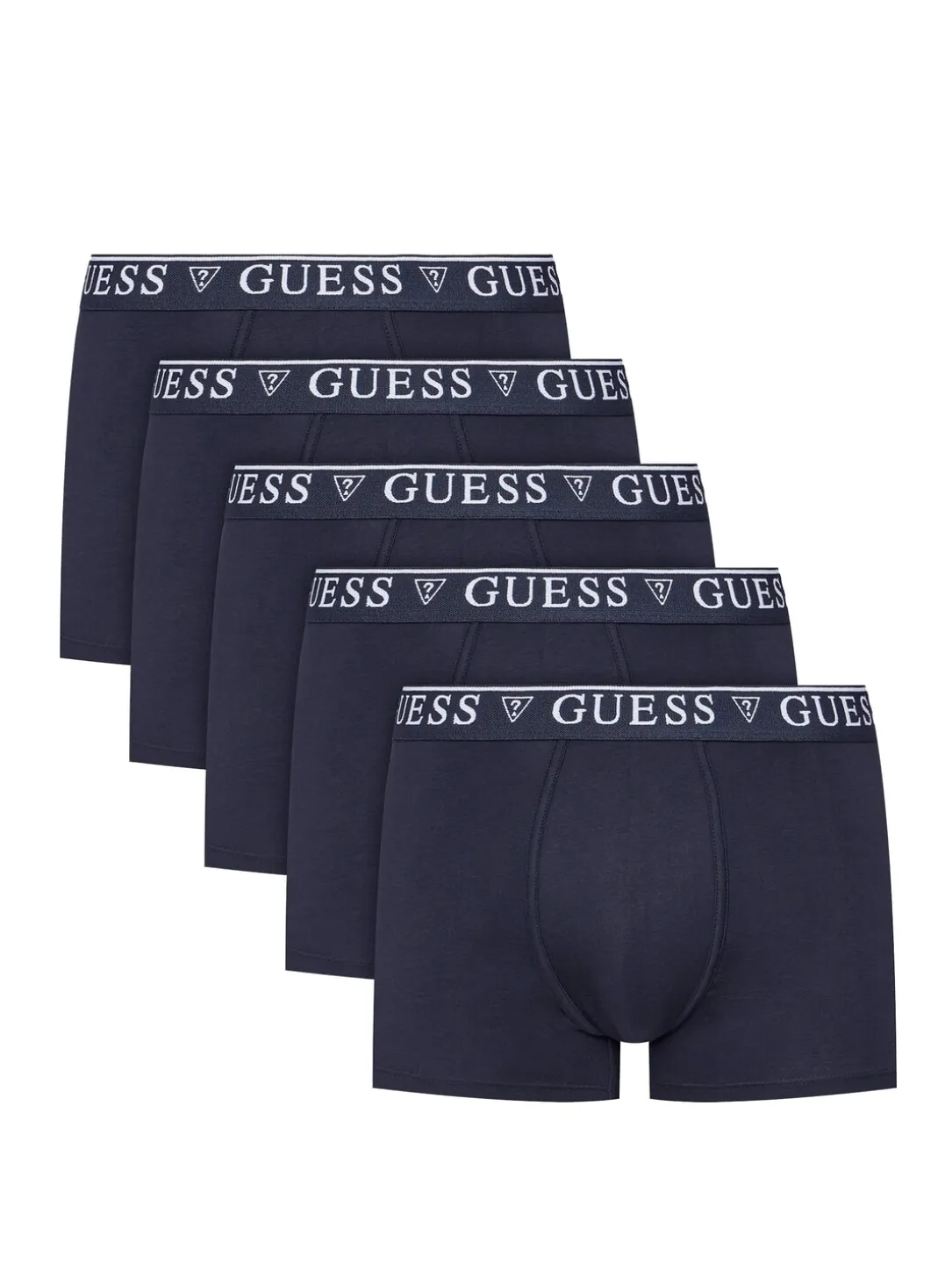 LOGO CLASSIC 5 Boxer multicolor