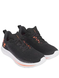 VELOCITI 4